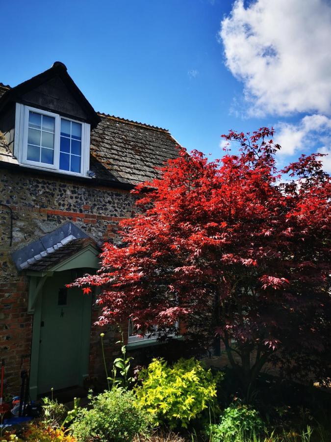 Historic, Traditional & Spacious Wiltshire Cottage Shrewton Exterior foto